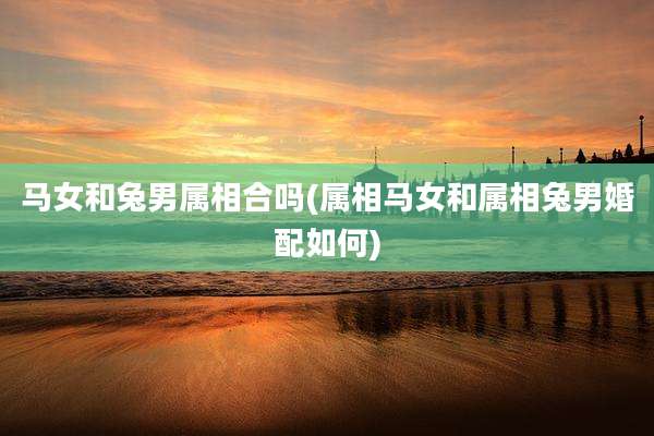 马女和兔男属相合吗(属相马女和属相兔男婚配如何)