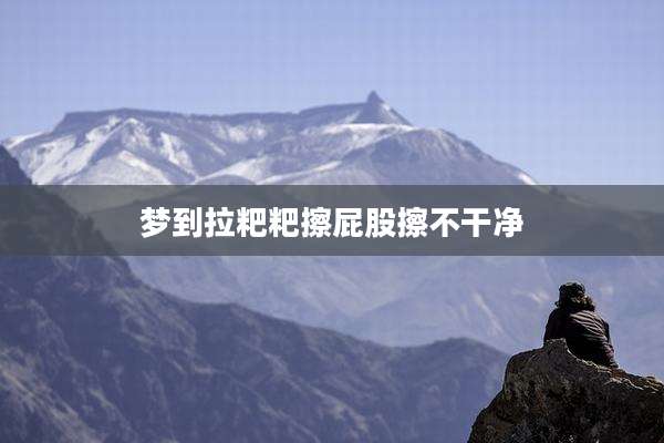 梦到拉粑粑擦屁股擦不干净