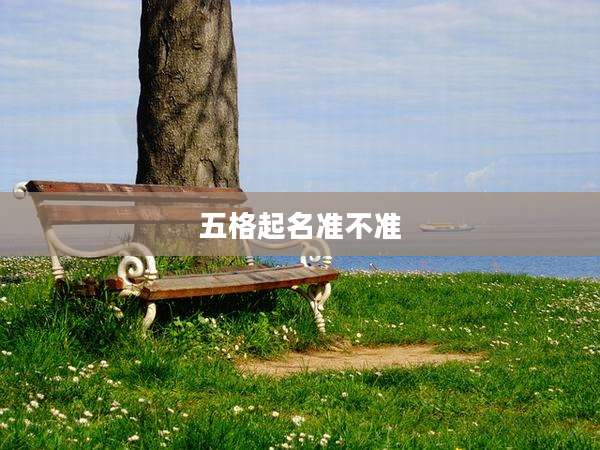 五格起名准不准