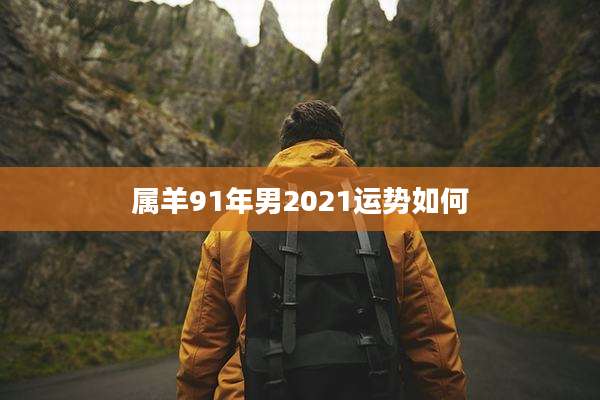 属羊91年男2021运势如何