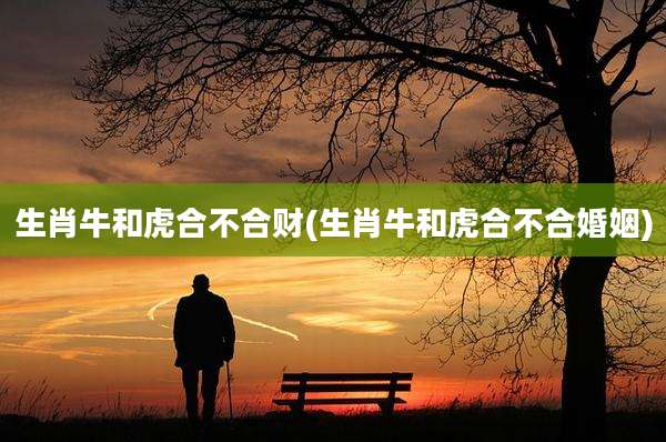 生肖牛和虎合不合财(生肖牛和虎合不合婚姻)