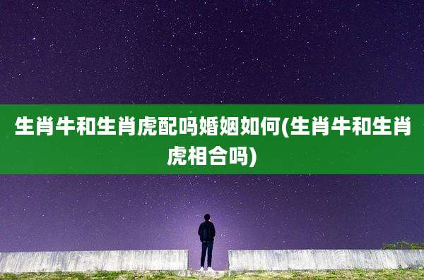 生肖牛和生肖虎配吗婚姻如何(生肖牛和生肖虎相合吗)