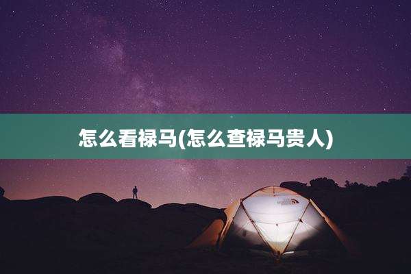 怎么看禄马(怎么查禄马贵人)