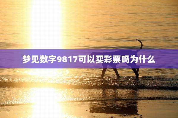 梦见数字9817可以买彩票吗为什么
