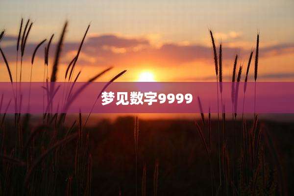 梦见数字9999