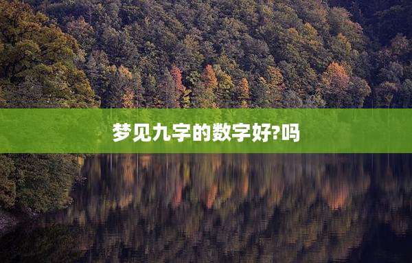 梦见九字的数字好?吗