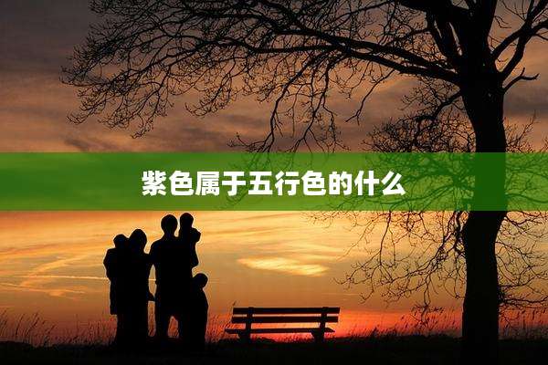 紫色属于五行色的什么