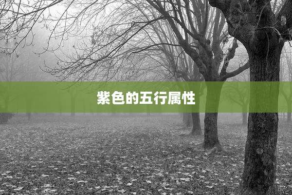 紫色的五行属性