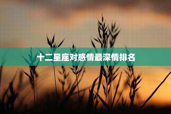十二星座对感情最深情排名