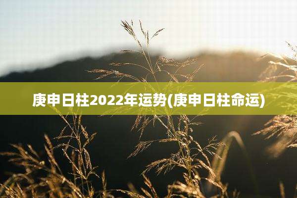 庚申日柱2022年运势(庚申日柱命运)