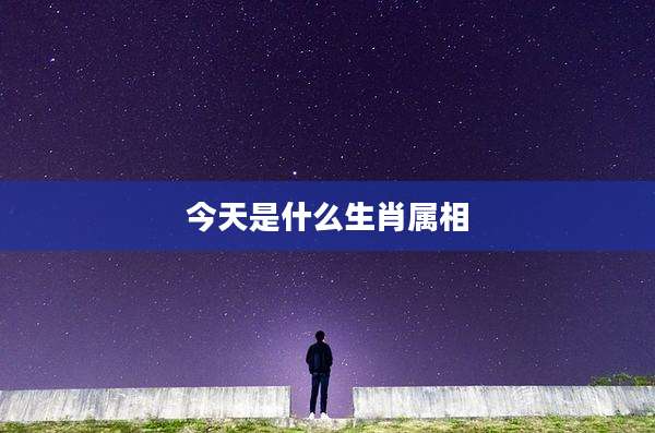 今天是什么生肖属相