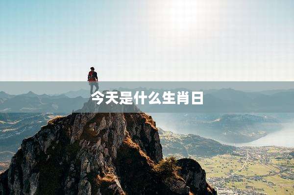 今天是什么生肖日