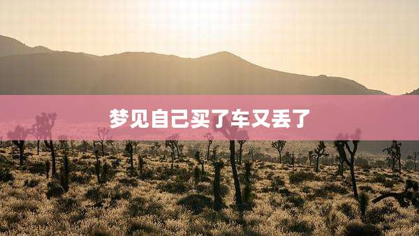 梦见自己买了车又丢了