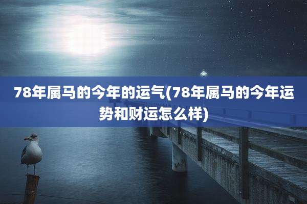 78年属马的今年的运气(78年属马的今年运势和财运怎么样)