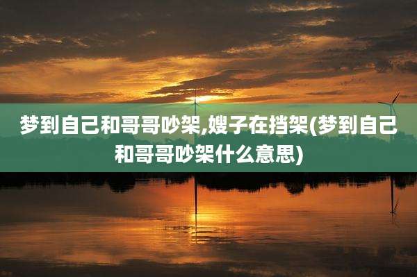 梦到自己和哥哥吵架,嫂子在挡架(梦到自己和哥哥吵架什么意思)