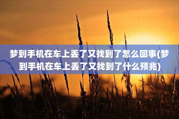 梦到手机在车上丢了又找到了怎么回事(梦到手机在车上丢了又找到了什么预兆)