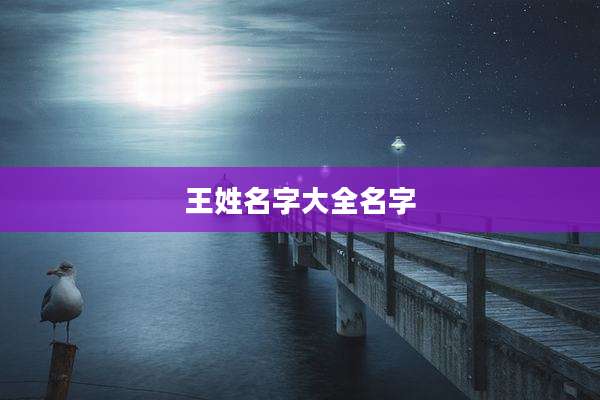 王姓名字大全名字