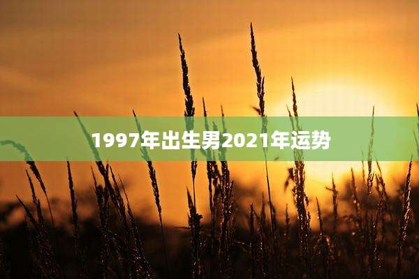 1997年出生男2021年运势
