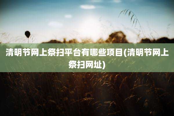 清明节网上祭扫平台有哪些项目(清明节网上祭扫网址)