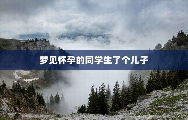 梦见怀孕的同学生了个儿子