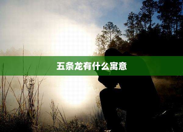 五条龙有什么寓意