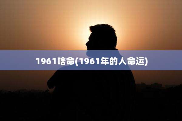 1961啥命(1961年的人命运)
