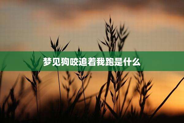 梦见狗咬追着我跑是什么