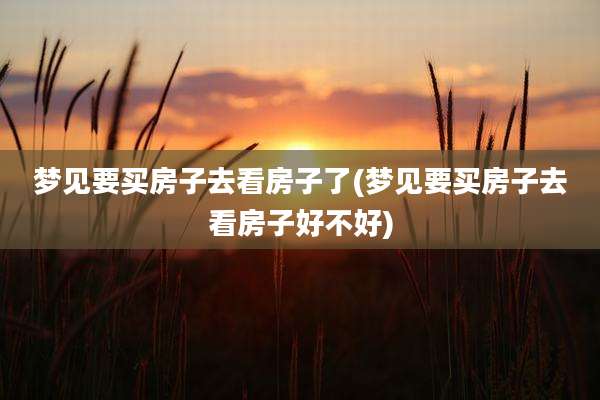 梦见要买房子去看房子了(梦见要买房子去看房子好不好)
