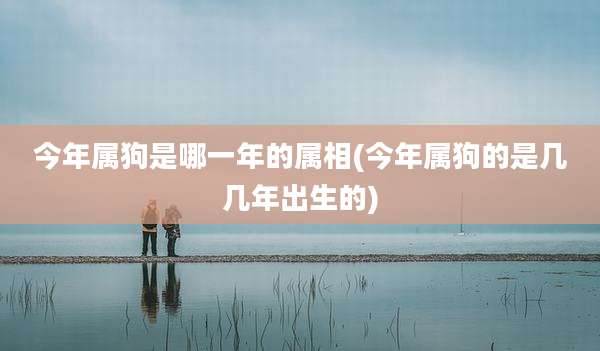 今年属狗是哪一年的属相(今年属狗的是几几年出生的)