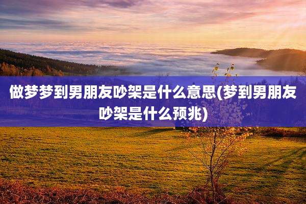 做梦梦到男朋友吵架是什么意思(梦到男朋友吵架是什么预兆)