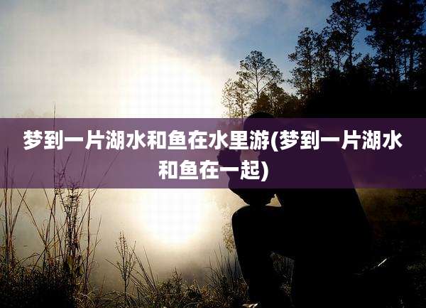 梦到一片湖水和鱼在水里游(梦到一片湖水和鱼在一起)