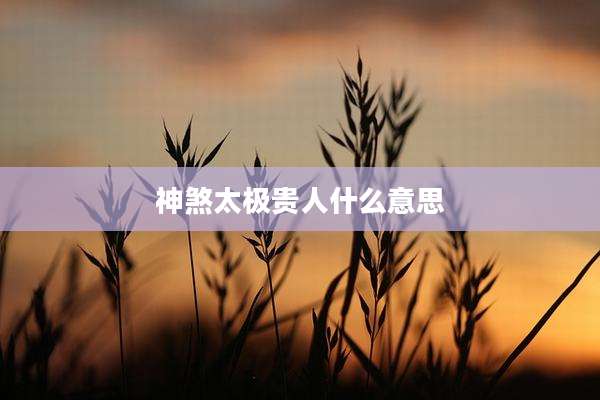 神煞太极贵人什么意思