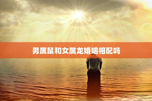 男属鼠和女属龙婚姻相配吗