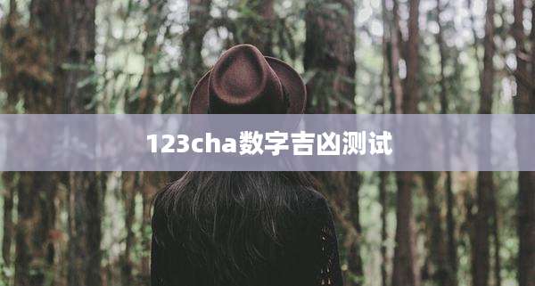 123cha数字吉凶测试