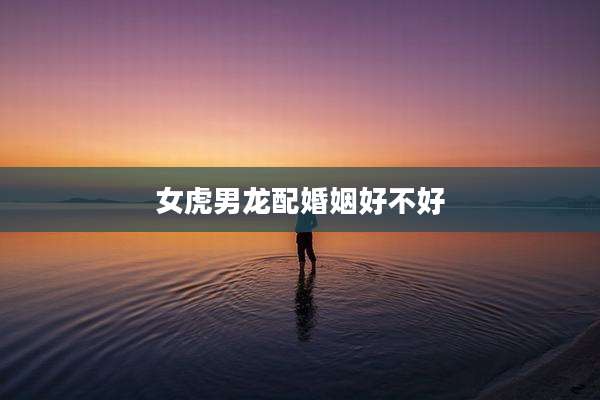 女虎男龙配婚姻好不好