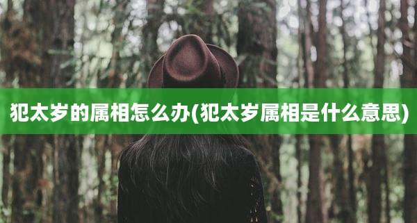 犯太岁的属相怎么办(犯太岁属相是什么意思)