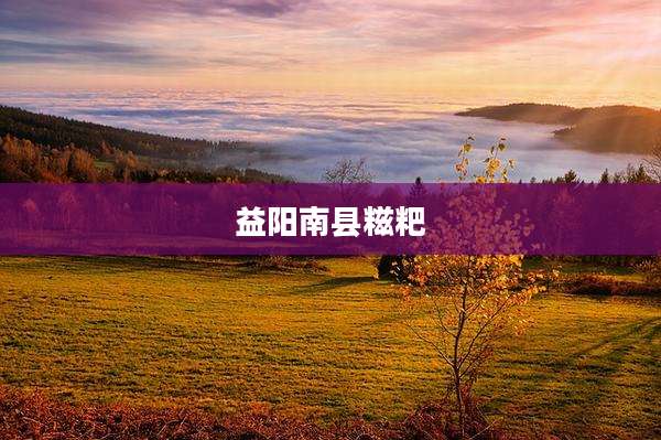 益阳南县糍粑