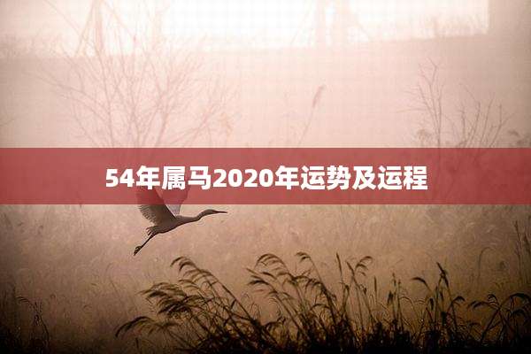54年属马2020年运势及运程