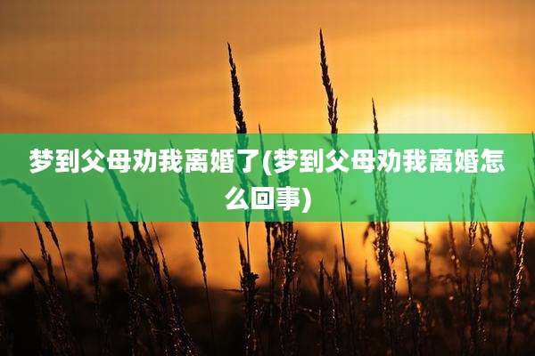 梦到父母劝我离婚了(梦到父母劝我离婚怎么回事)