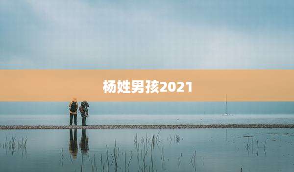 杨姓男孩2021