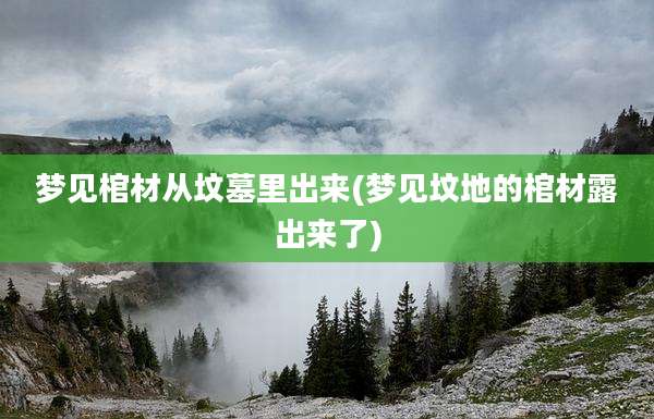 梦见棺材从坟墓里出来(梦见坟地的棺材露出来了)