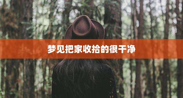 梦见把家收拾的很干净