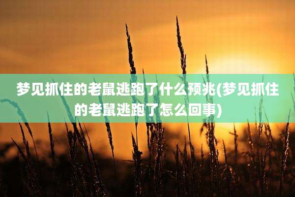 梦见抓住的老鼠逃跑了什么预兆(梦见抓住的老鼠逃跑了怎么回事)