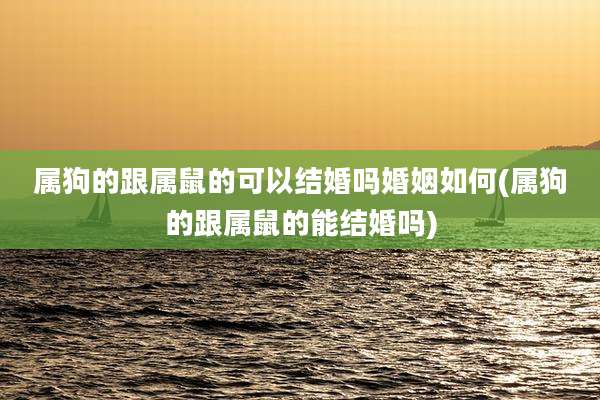 属狗的跟属鼠的可以结婚吗婚姻如何(属狗的跟属鼠的能结婚吗)