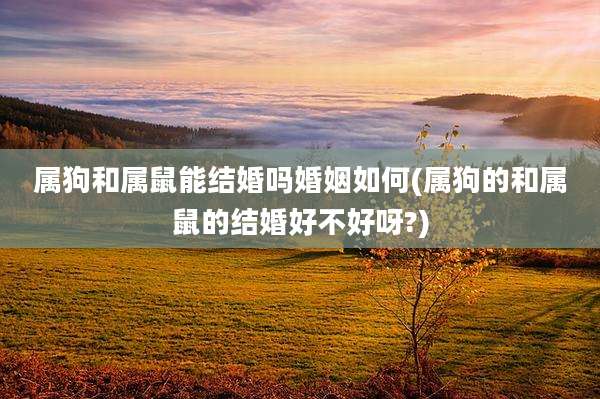 属狗和属鼠能结婚吗婚姻如何(属狗的和属鼠的结婚好不好呀?)