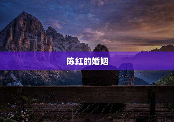 陈红的婚姻