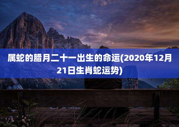 属蛇的腊月二十一出生的命运(2020年12月21日生肖蛇运势)