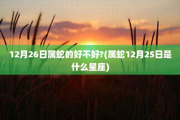 12月26日属蛇的好不好?(属蛇12月25日是什么星座)