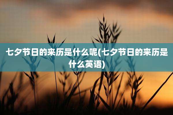 七夕节日的来历是什么呢(七夕节日的来历是什么英语)