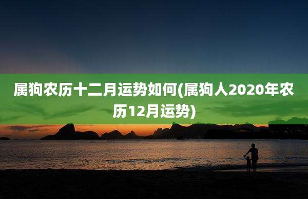 属狗农历十二月运势如何(属狗人2020年农历12月运势)